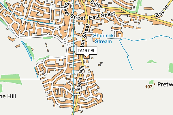TA19 0BL map - OS VectorMap District (Ordnance Survey) TA19 0BL map - OS VectorMap District (Ordnance Survey)