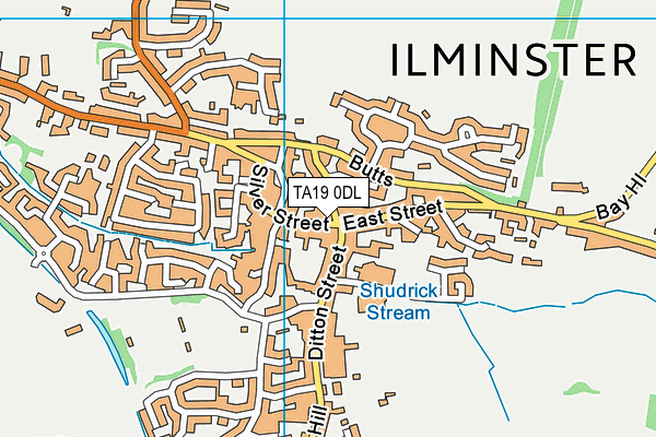 TA19 0DL map - OS VectorMap District (Ordnance Survey) TA19 0DL map - OS VectorMap District (Ordnance Survey)