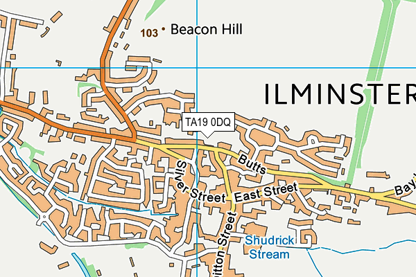 TA19 0DQ map - OS VectorMap District (Ordnance Survey) TA19 0DQ map - OS VectorMap District (Ordnance Survey)