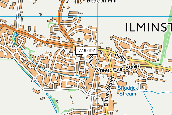 TA19 0DZ map - OS VectorMap District (Ordnance Survey) TA19 0DZ map - OS VectorMap District (Ordnance Survey)