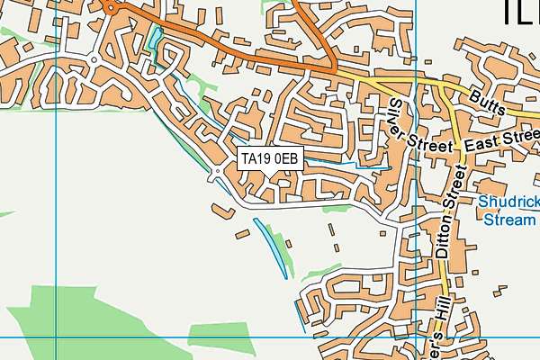 TA19 0EB map - OS VectorMap District (Ordnance Survey) TA19 0EB map - OS VectorMap District (Ordnance Survey)
