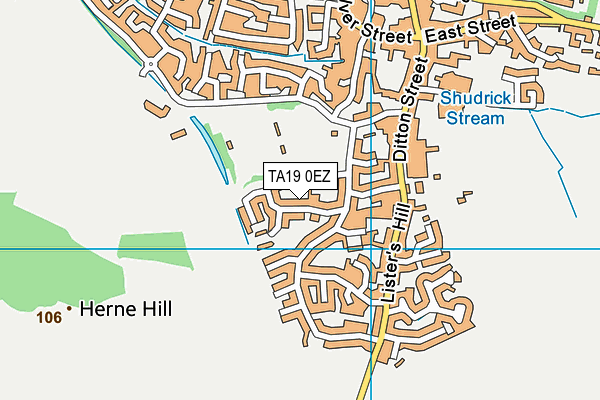 TA19 0EZ map - OS VectorMap District (Ordnance Survey) TA19 0EZ map - OS VectorMap District (Ordnance Survey)