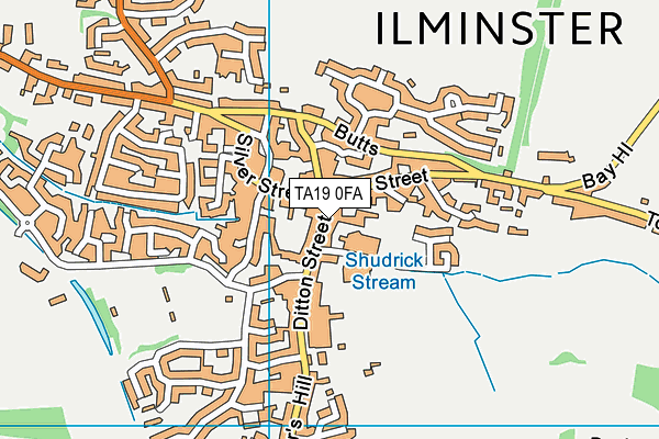 TA19 0FA map - OS VectorMap District (Ordnance Survey) TA19 0FA map - OS VectorMap District (Ordnance Survey)