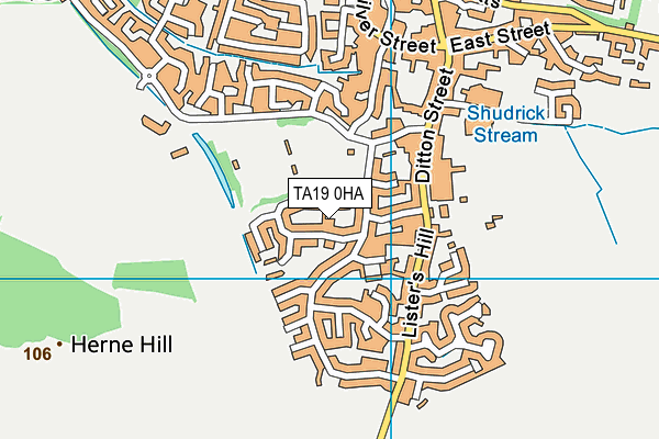 TA19 0HA map - OS VectorMap District (Ordnance Survey) TA19 0HA map - OS VectorMap District (Ordnance Survey)