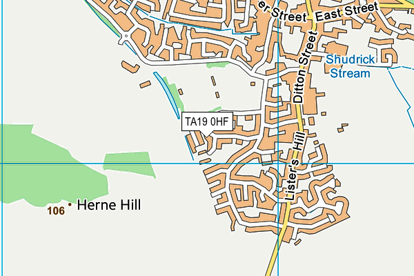 TA19 0HF map - OS VectorMap District (Ordnance Survey) TA19 0HF map - OS VectorMap District (Ordnance Survey)