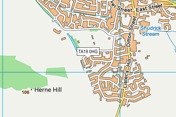 TA19 0HG map - OS VectorMap District (Ordnance Survey) TA19 0HG map - OS VectorMap District (Ordnance Survey)