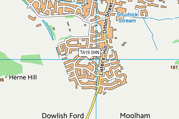 TA19 0HN map - OS VectorMap District (Ordnance Survey) TA19 0HN map - OS VectorMap District (Ordnance Survey)