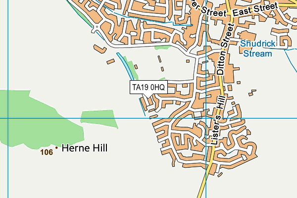 TA19 0HQ map - OS VectorMap District (Ordnance Survey) TA19 0HQ map - OS VectorMap District (Ordnance Survey)