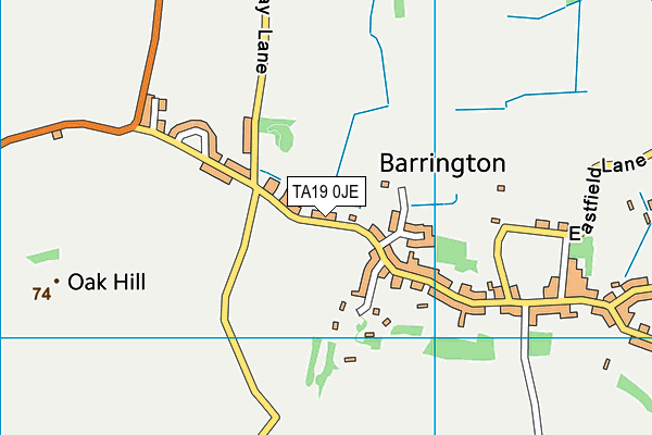 TA19 0JE map - OS VectorMap District (Ordnance Survey) TA19 0JE map - OS VectorMap District (Ordnance Survey)