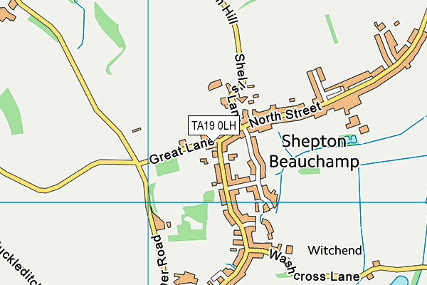 TA19 0LH map - OS VectorMap District (Ordnance Survey) TA19 0LH map - OS VectorMap District (Ordnance Survey)