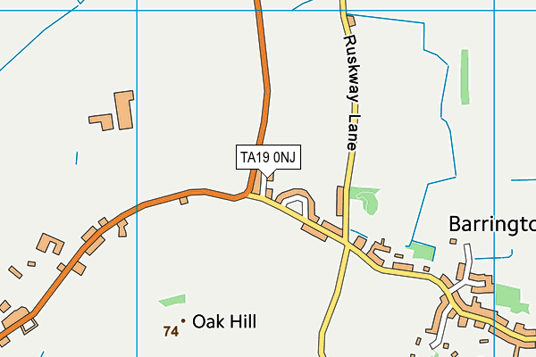 TA19 0NJ map - OS VectorMap District (Ordnance Survey) TA19 0NJ map - OS VectorMap District (Ordnance Survey)