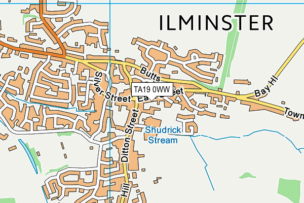 TA19 0WW map - OS VectorMap District (Ordnance Survey) TA19 0WW map - OS VectorMap District (Ordnance Survey)