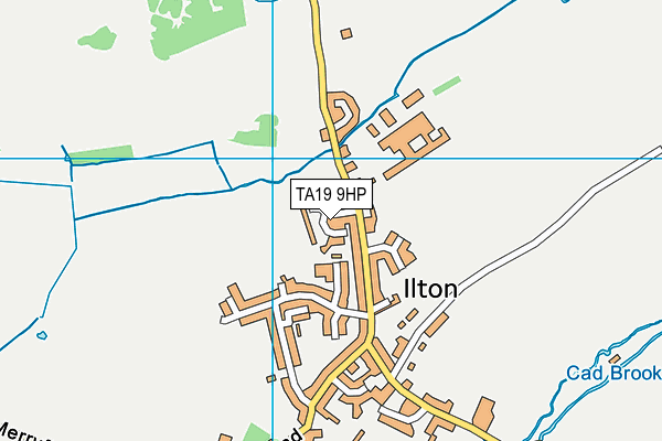 TA19 9HP map - OS VectorMap District (Ordnance Survey) TA19 9HP map - OS VectorMap District (Ordnance Survey)