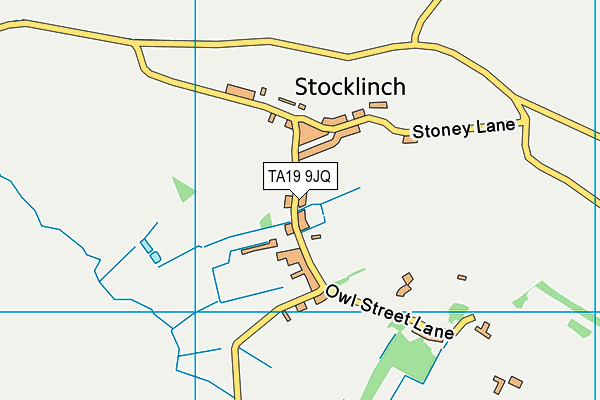 TA19 9JQ map - OS VectorMap District (Ordnance Survey) TA19 9JQ map - OS VectorMap District (Ordnance Survey)
