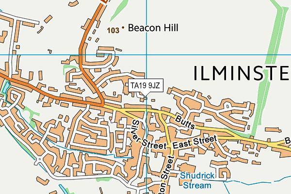 TA19 9JZ map - OS VectorMap District (Ordnance Survey) TA19 9JZ map - OS VectorMap District (Ordnance Survey)