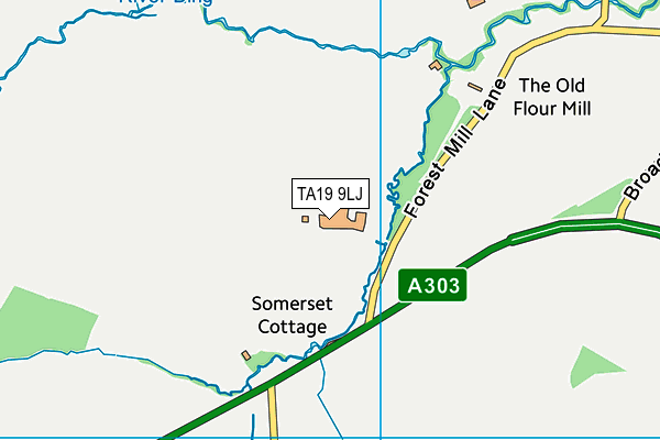 TA19 9LJ map - OS VectorMap District (Ordnance Survey) TA19 9LJ map - OS VectorMap District (Ordnance Survey)