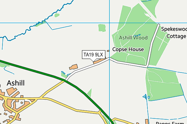 TA19 9LX map - OS VectorMap District (Ordnance Survey) TA19 9LX map - OS VectorMap District (Ordnance Survey)