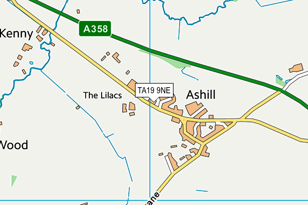 TA19 9NE map - OS VectorMap District (Ordnance Survey) TA19 9NE map - OS VectorMap District (Ordnance Survey)