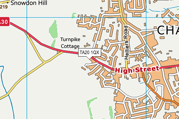 TA20 1QX map - OS VectorMap District (Ordnance Survey) TA20 1QX map - OS VectorMap District (Ordnance Survey)