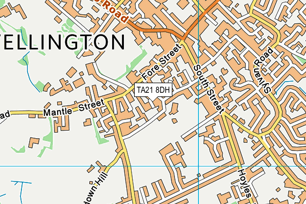 TA21 8DH map - OS VectorMap District (Ordnance Survey) TA21 8DH map - OS VectorMap District (Ordnance Survey)