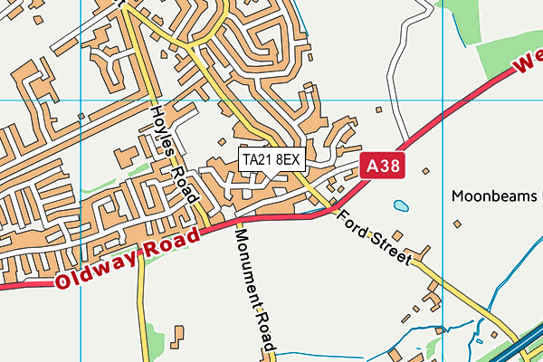 TA21 8EX map - OS VectorMap District (Ordnance Survey) TA21 8EX map - OS VectorMap District (Ordnance Survey)