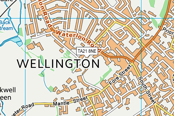 TA21 8NE map - OS VectorMap District (Ordnance Survey) TA21 8NE map - OS VectorMap District (Ordnance Survey)