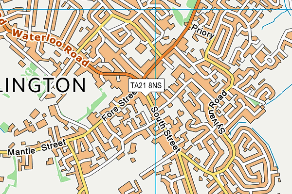 TA21 8NS map - OS VectorMap District (Ordnance Survey) TA21 8NS map - OS VectorMap District (Ordnance Survey)