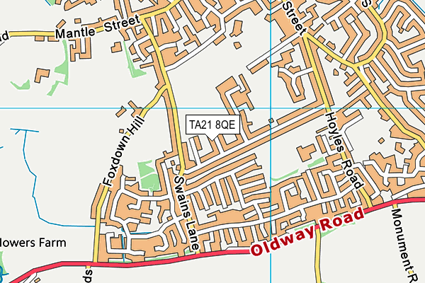 TA21 8QE map - OS VectorMap District (Ordnance Survey) TA21 8QE map - OS VectorMap District (Ordnance Survey)
