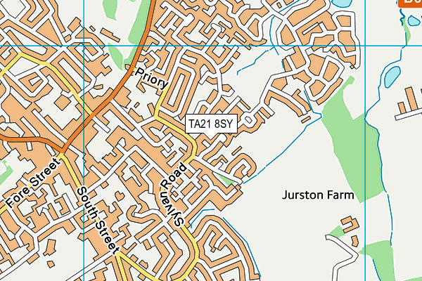 TA21 8SY map - OS VectorMap District (Ordnance Survey) TA21 8SY map - OS VectorMap District (Ordnance Survey)
