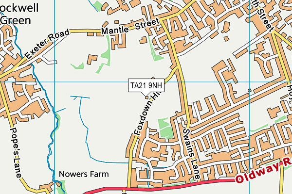 TA21 9NH map - OS VectorMap District (Ordnance Survey) TA21 9NH map - OS VectorMap District (Ordnance Survey)