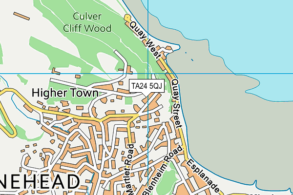 TA24 5QJ map - OS VectorMap District (Ordnance Survey) TA24 5QJ map - OS VectorMap District (Ordnance Survey)