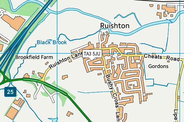 TA3 5JU map - OS VectorMap District (Ordnance Survey)