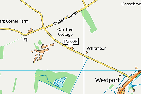 TA3 6QR map - OS VectorMap District (Ordnance Survey) TA3 6QR map - OS VectorMap District (Ordnance Survey)