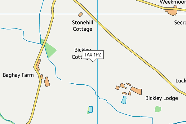 TA4 1PZ map - OS VectorMap District (Ordnance Survey) TA4 1PZ map - OS VectorMap District (Ordnance Survey)