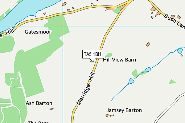 TA5 1BH map - OS VectorMap District (Ordnance Survey) TA5 1BH map - OS VectorMap District (Ordnance Survey)
