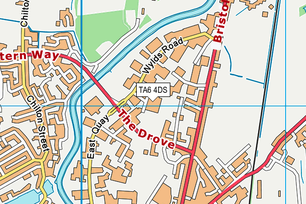 TA6 4DS map - OS VectorMap District (Ordnance Survey) TA6 4DS map - OS VectorMap District (Ordnance Survey)