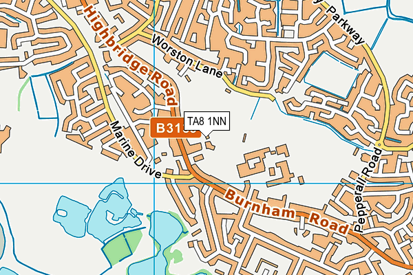 TA8 1NN map - OS VectorMap District (Ordnance Survey) TA8 1NN map - OS VectorMap District (Ordnance Survey)