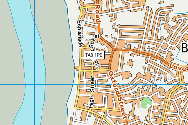 TA8 1PE map - OS VectorMap District (Ordnance Survey) TA8 1PE map - OS VectorMap District (Ordnance Survey)