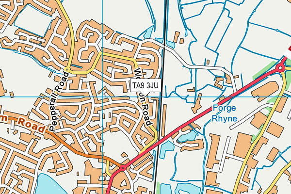 TA9 3JU map - OS VectorMap District (Ordnance Survey) TA9 3JU map - OS VectorMap District (Ordnance Survey)