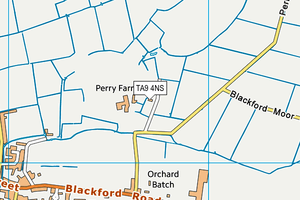 TA9 4NS map - OS VectorMap District (Ordnance Survey) TA9 4NS map - OS VectorMap District (Ordnance Survey)