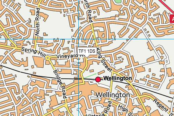 TF1 1DS map - OS VectorMap District (Ordnance Survey) TF1 1DS map - OS VectorMap District (Ordnance Survey)