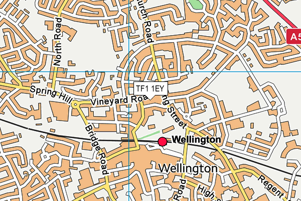 TF1 1EY map - OS VectorMap District (Ordnance Survey) TF1 1EY map - OS VectorMap District (Ordnance Survey)
