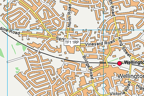 TF1 1RP map - OS VectorMap District (Ordnance Survey) TF1 1RP map - OS VectorMap District (Ordnance Survey)