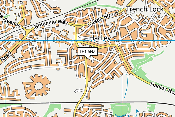 TF1 5NZ map - OS VectorMap District (Ordnance Survey) TF1 5NZ map - OS VectorMap District (Ordnance Survey)