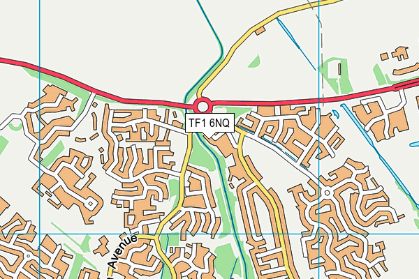 TF1 6NQ map - OS VectorMap District (Ordnance Survey) TF1 6NQ map - OS VectorMap District (Ordnance Survey)