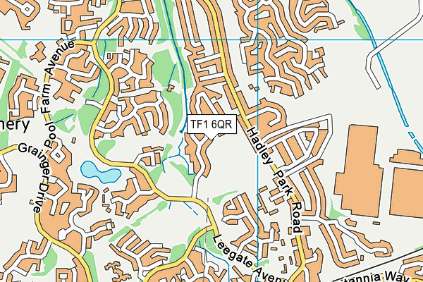 TF1 6QR map - OS VectorMap District (Ordnance Survey) TF1 6QR map - OS VectorMap District (Ordnance Survey)