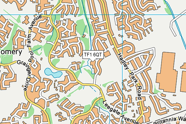 TF1 6QT map - OS VectorMap District (Ordnance Survey) TF1 6QT map - OS VectorMap District (Ordnance Survey)
