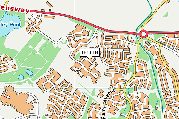 TF1 6TB map - OS VectorMap District (Ordnance Survey) TF1 6TB map - OS VectorMap District (Ordnance Survey)