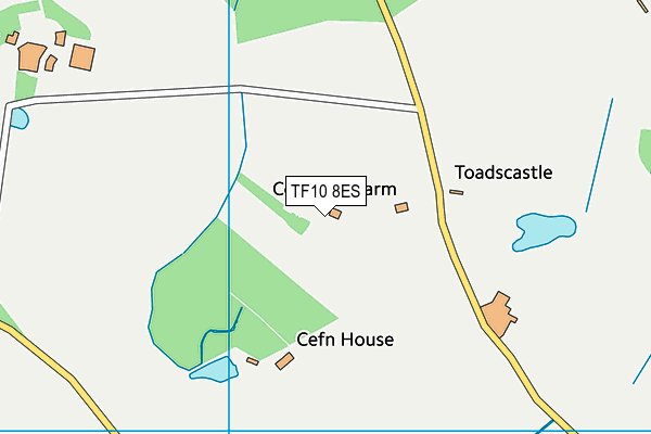 TF10 8ES map - OS VectorMap District (Ordnance Survey) TF10 8ES map - OS VectorMap District (Ordnance Survey)