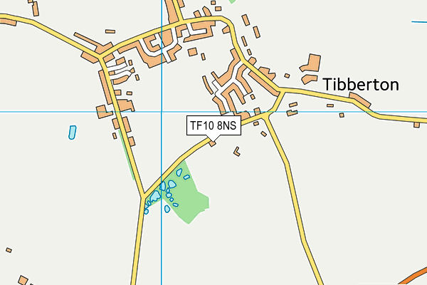 TF10 8NS map - OS VectorMap District (Ordnance Survey) TF10 8NS map - OS VectorMap District (Ordnance Survey)